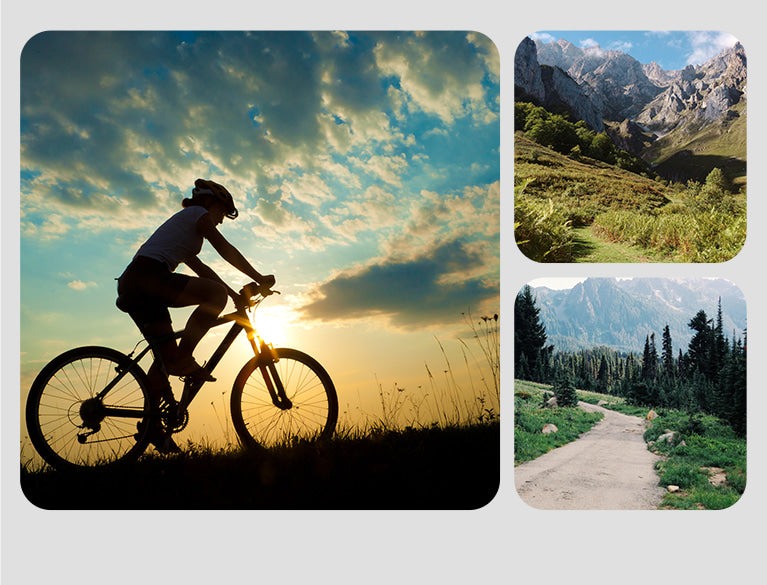 Lifespan Fitness RBX-110 Commercial Recumbent Bike