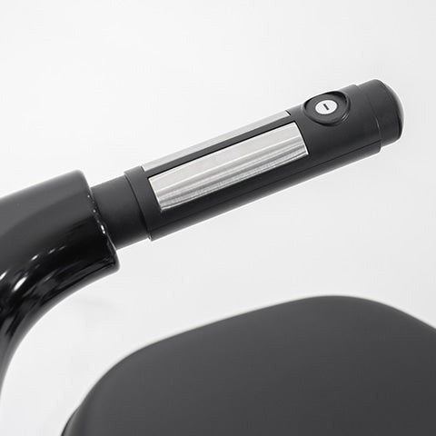 Lifespan Fitness RBX-110 Commercial Recumbent Bike