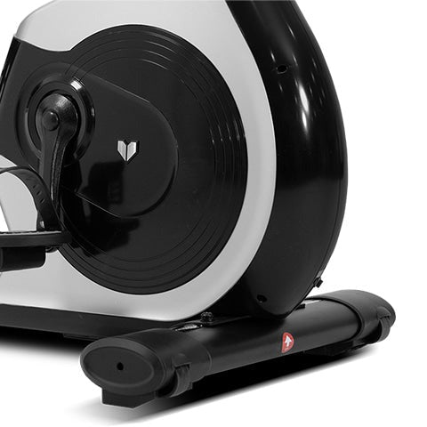 Lifespan Fitness RBX-110 Commercial Recumbent Bike