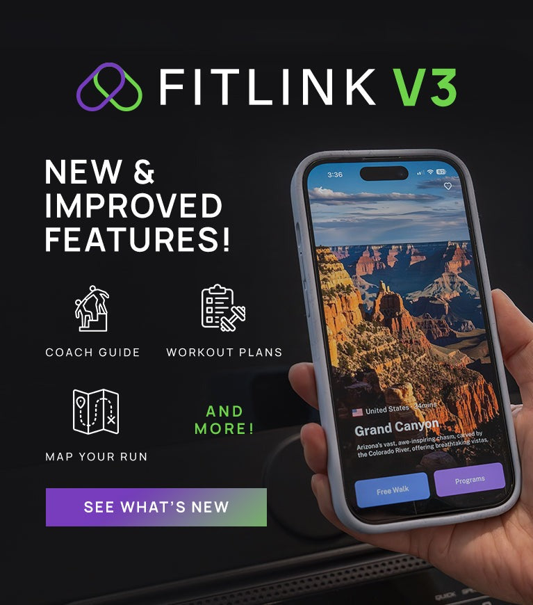 Lifespan Fitness ROWER-801F Air & Magnetic Commercial Rowing Machine