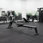 Lifespan Fitness ROWER-801F Air & Magnetic Commercial Rowing Machine