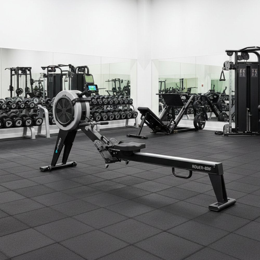 Light Commercial Rowing Machine Lifespan Fitness ROWER-801F Air & Magnetic Commercial Rowing Machine ...