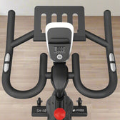Lifespan Fitness SM-110 Magnetic Spin Bike