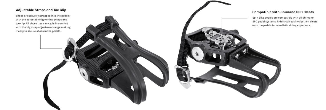 Lifespan Fitness SM810 Commercial Spin Bike