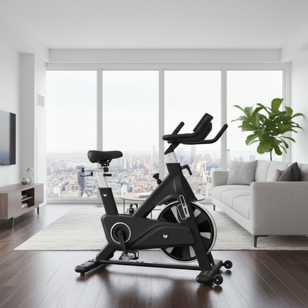 Lifespan Fitness SM810 Commercial Spin Bike