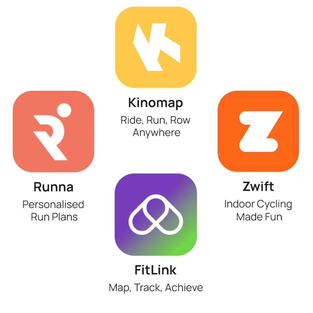 Lifespan Fitness SM810 Commercial Spin Bike