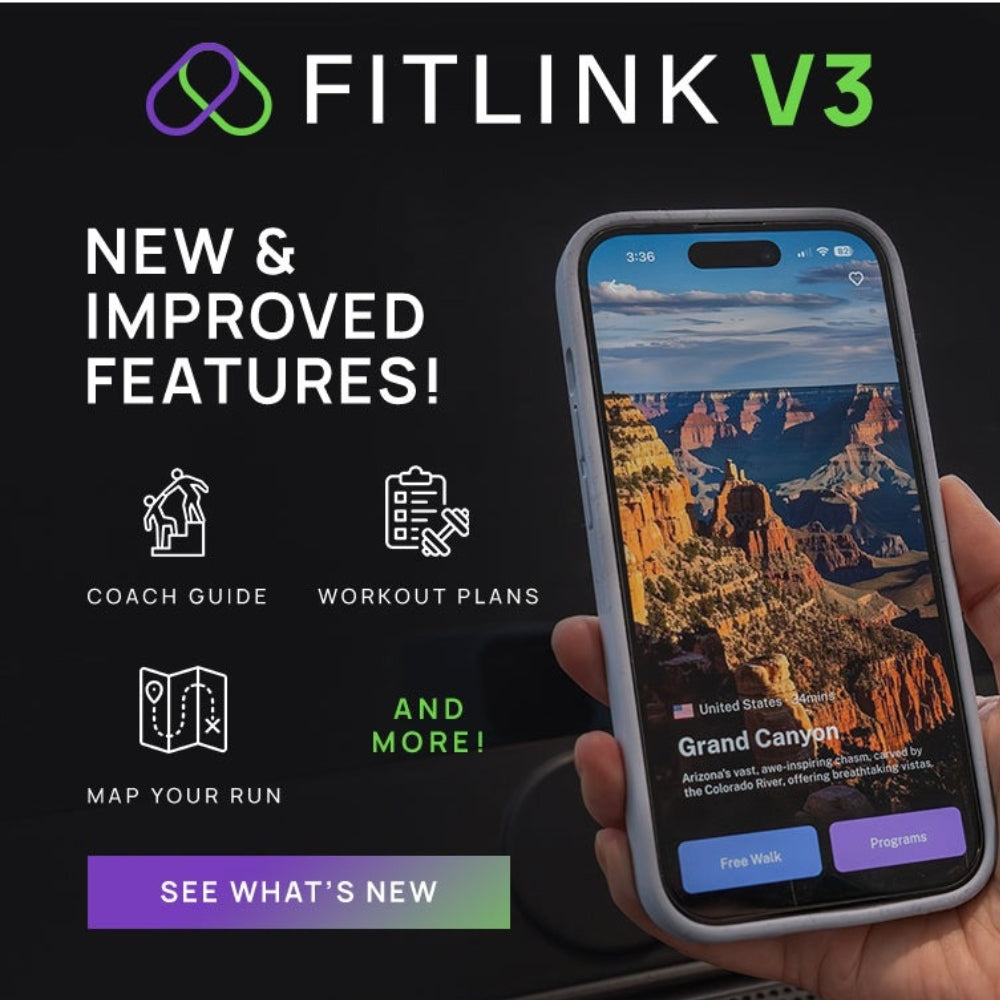 Lifespan Fitness SM810 Commercial Spin Bike