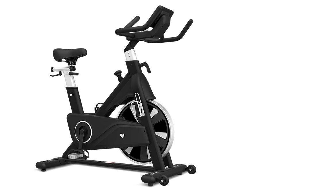 Lifespan Fitness SM810 Commercial Spin Bike