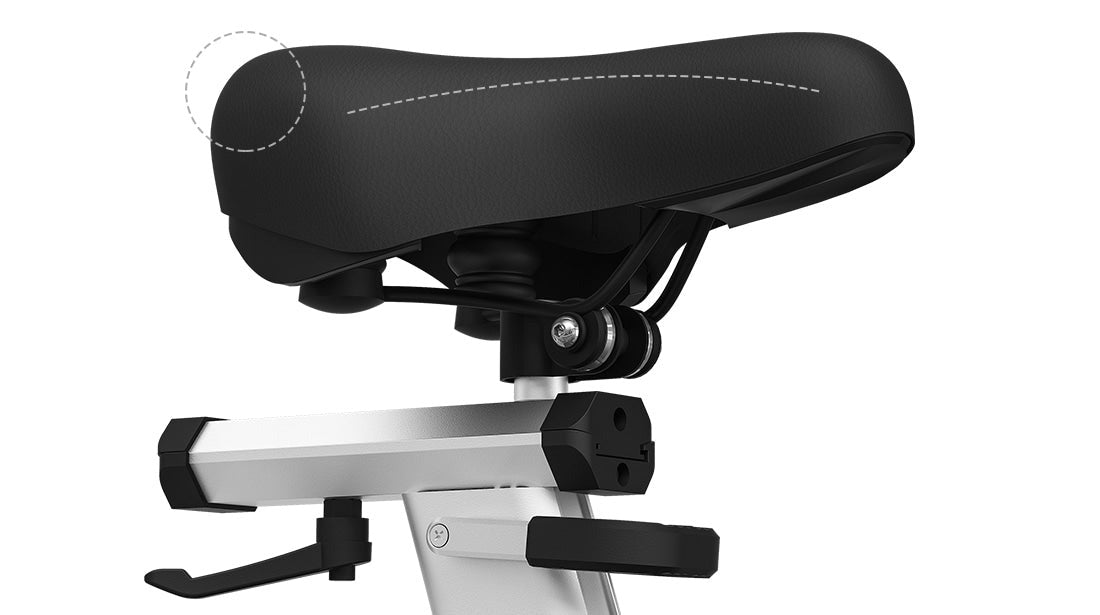 Lifespan Fitness SM810 Commercial Spin Bike