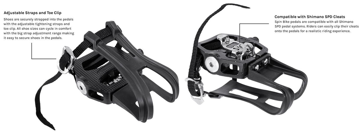 Lifespan Fitness SM900 Commercial Magnetic Spin Bike