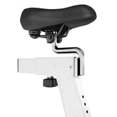 Lifespan Fitness SP-460 M2 Spin Bike