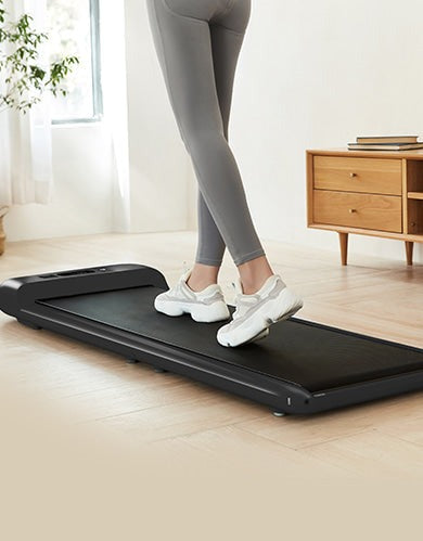 Lifespan Fitness WalkingPad M2 Treadmill