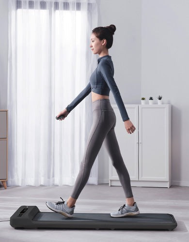 Lifespan Fitness WalkingPad M2 Treadmill