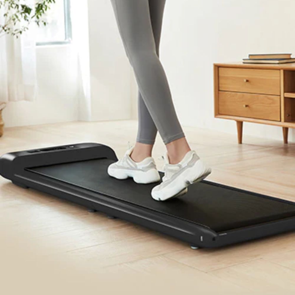 Lifespan Fitness WalkingPad M2 Treadmill