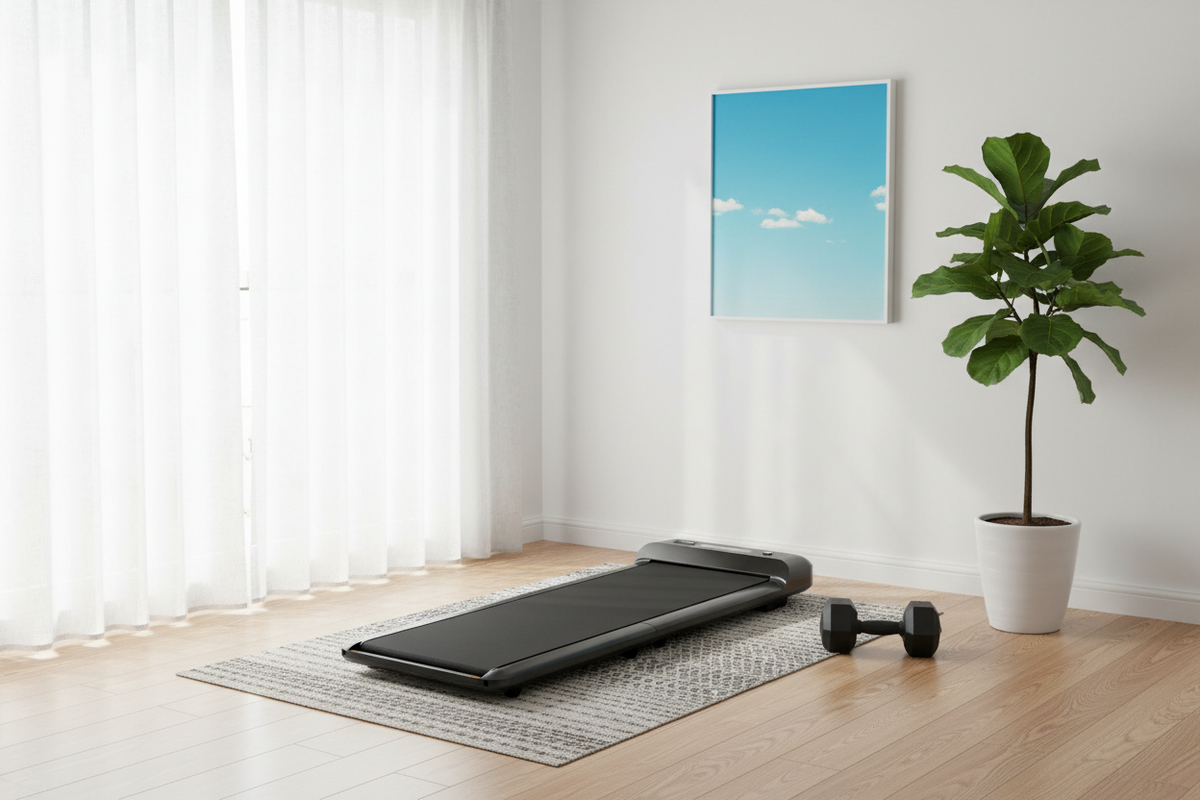Lifespan Fitness WalkingPad M2 Treadmill