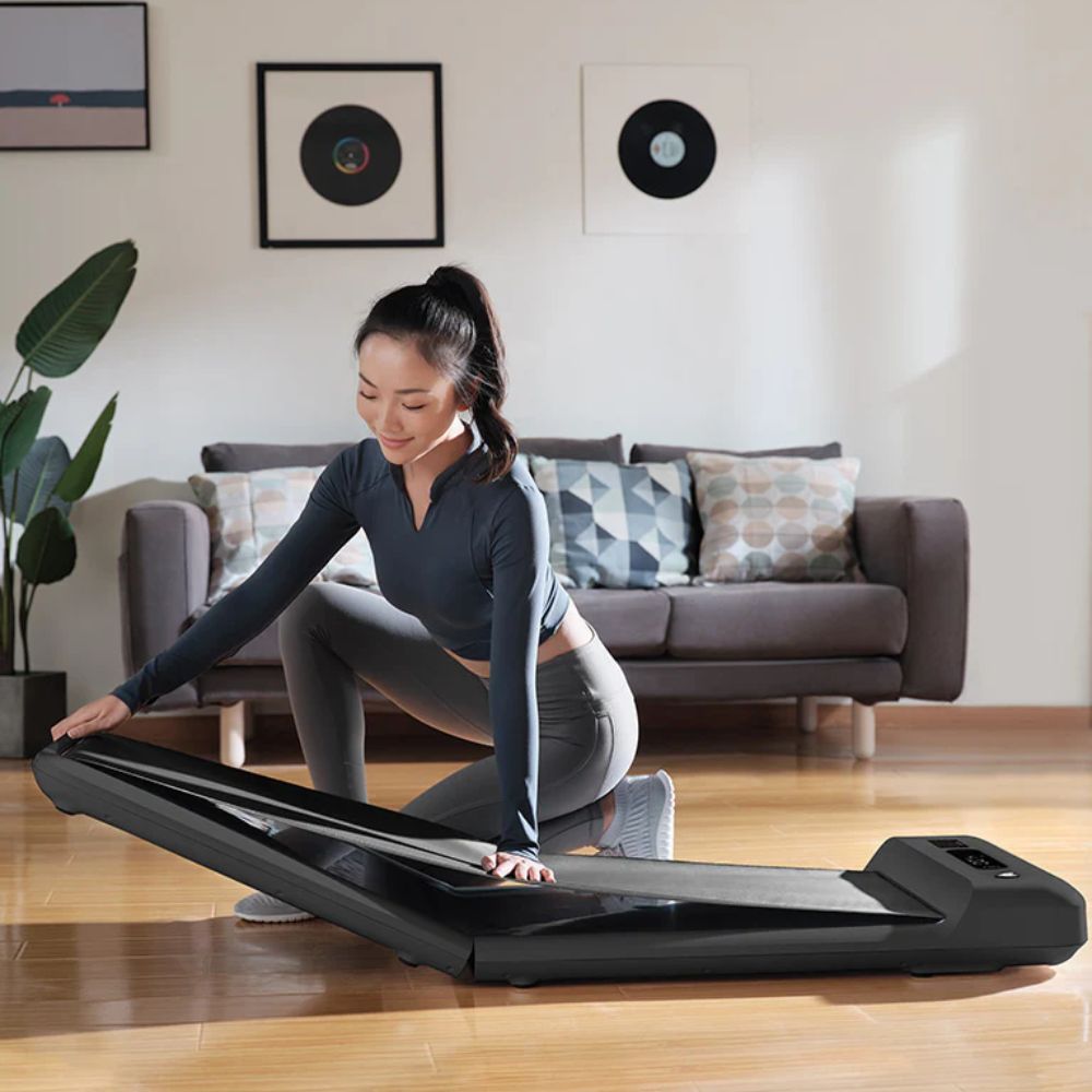 Lifespan Fitness WalkingPad M2 Treadmill