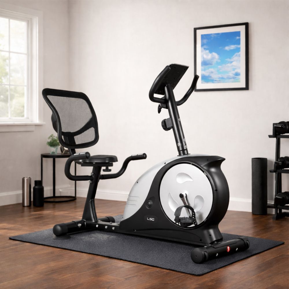 LSG RB-2 Recumbent Bike