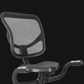 LSG RB-2 Recumbent Bike