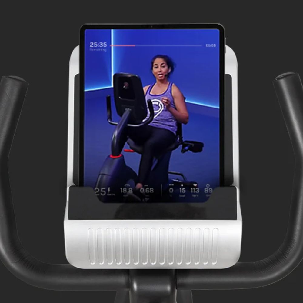 LSG RB-2 Recumbent Bike