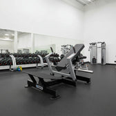 Nautilus Glute Driver
