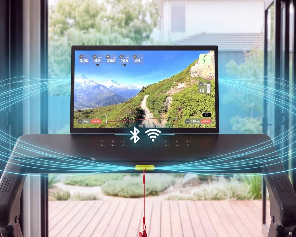 WiFi & Bluetooth Connectivity