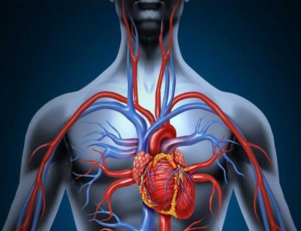 Regen8 PolarBarrel 340L Cold Plunge Ice Bath with T2 Ultra-Fast Chiller Unit (510W, 2°C)