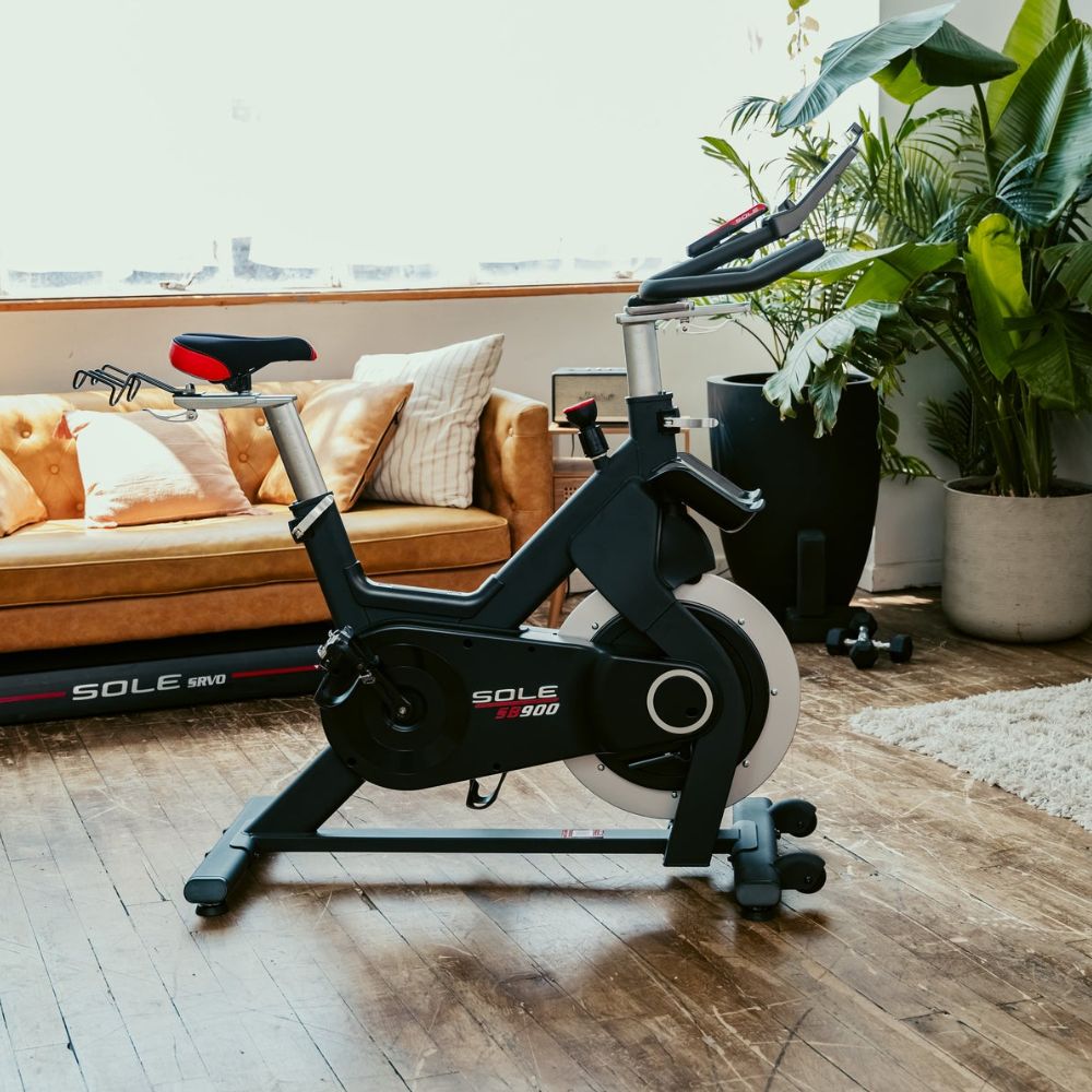 Sole SB900 Spin Bike