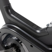 Sole SB900 Spin Bike
