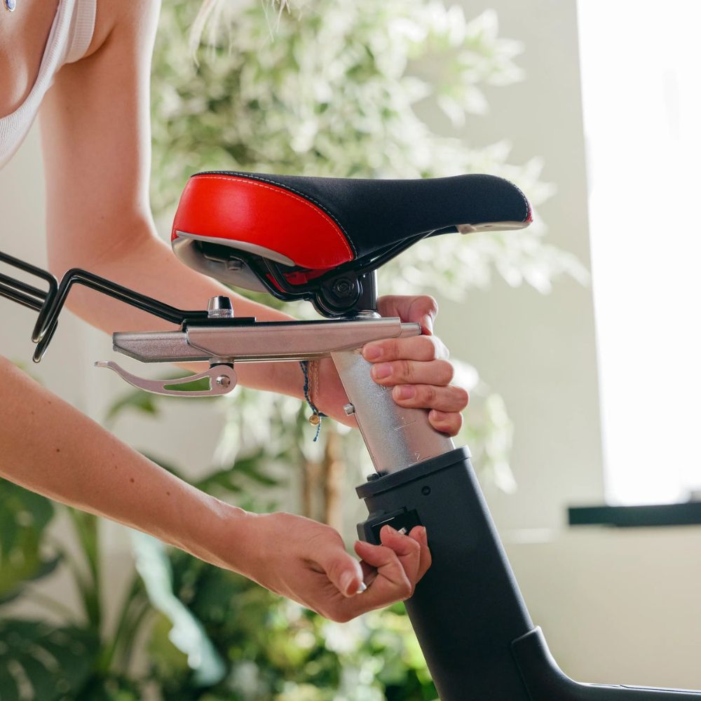 Sole SB1200 Spin Bike