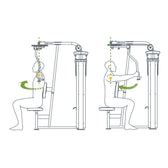 SportsArt DF304 Pec Fly/Rear Deltoid Exercise Diagram