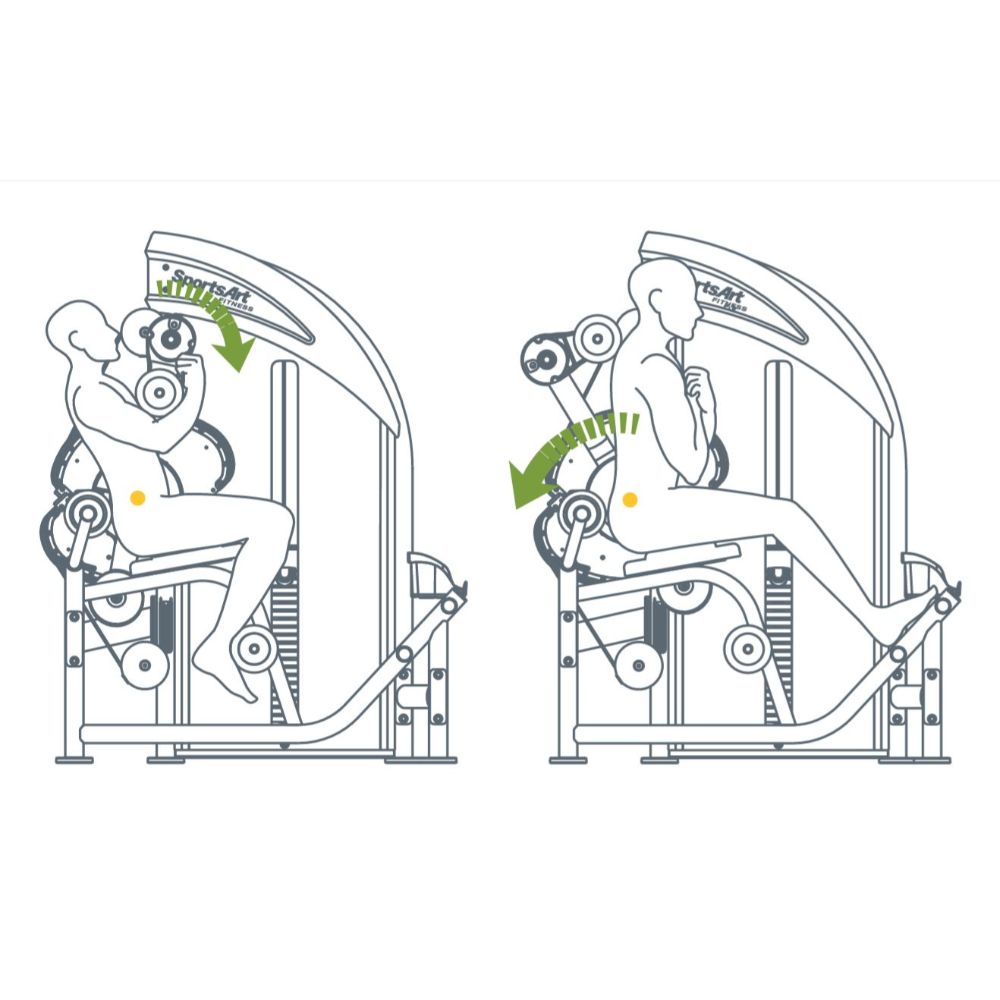 SportsArt DF306 Lower Back/Abdominal Exercise Diagram