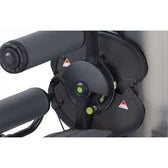 SportsArt DF306 Lower Back/Abdominal Dual Cam
