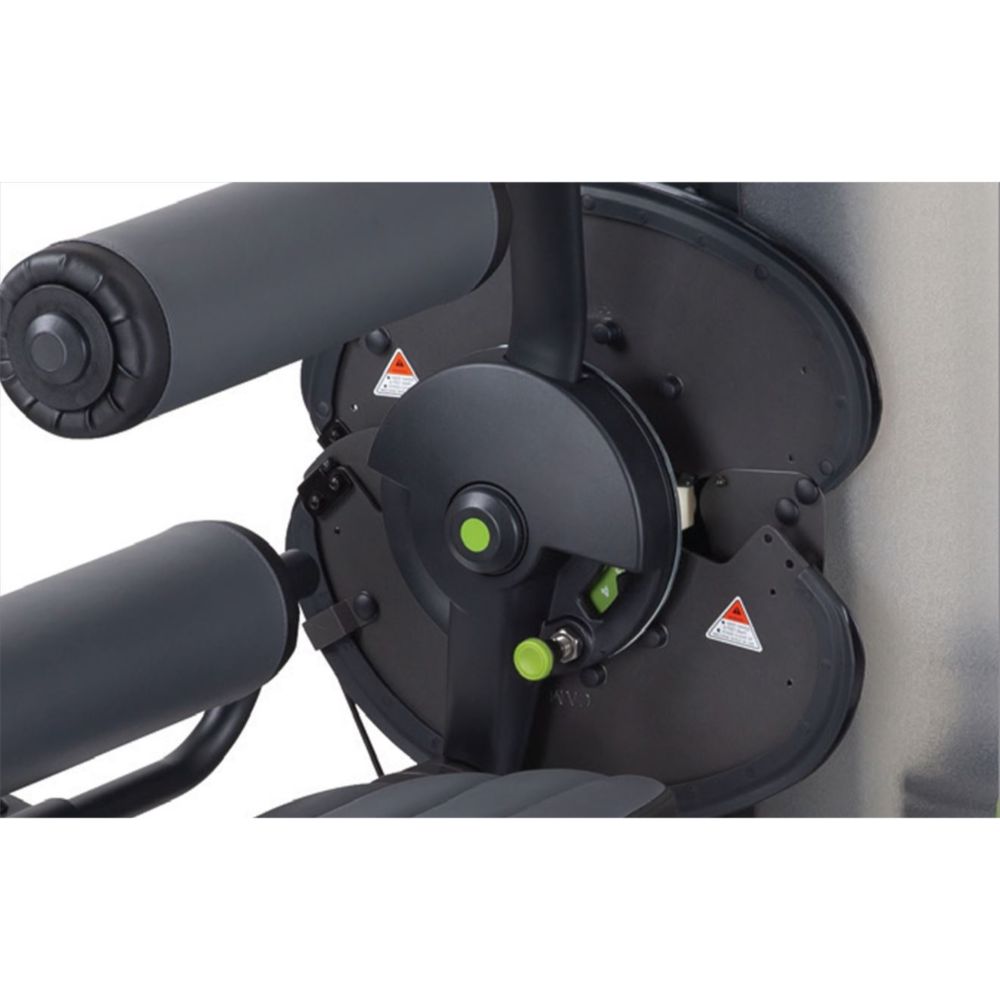 SportsArt DF306 Lower Back/Abdominal Dual Cam system