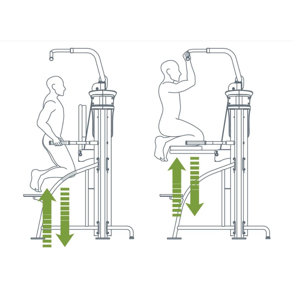 SportsArt DF307 Assisted Chin/Dip Exercise Diagram