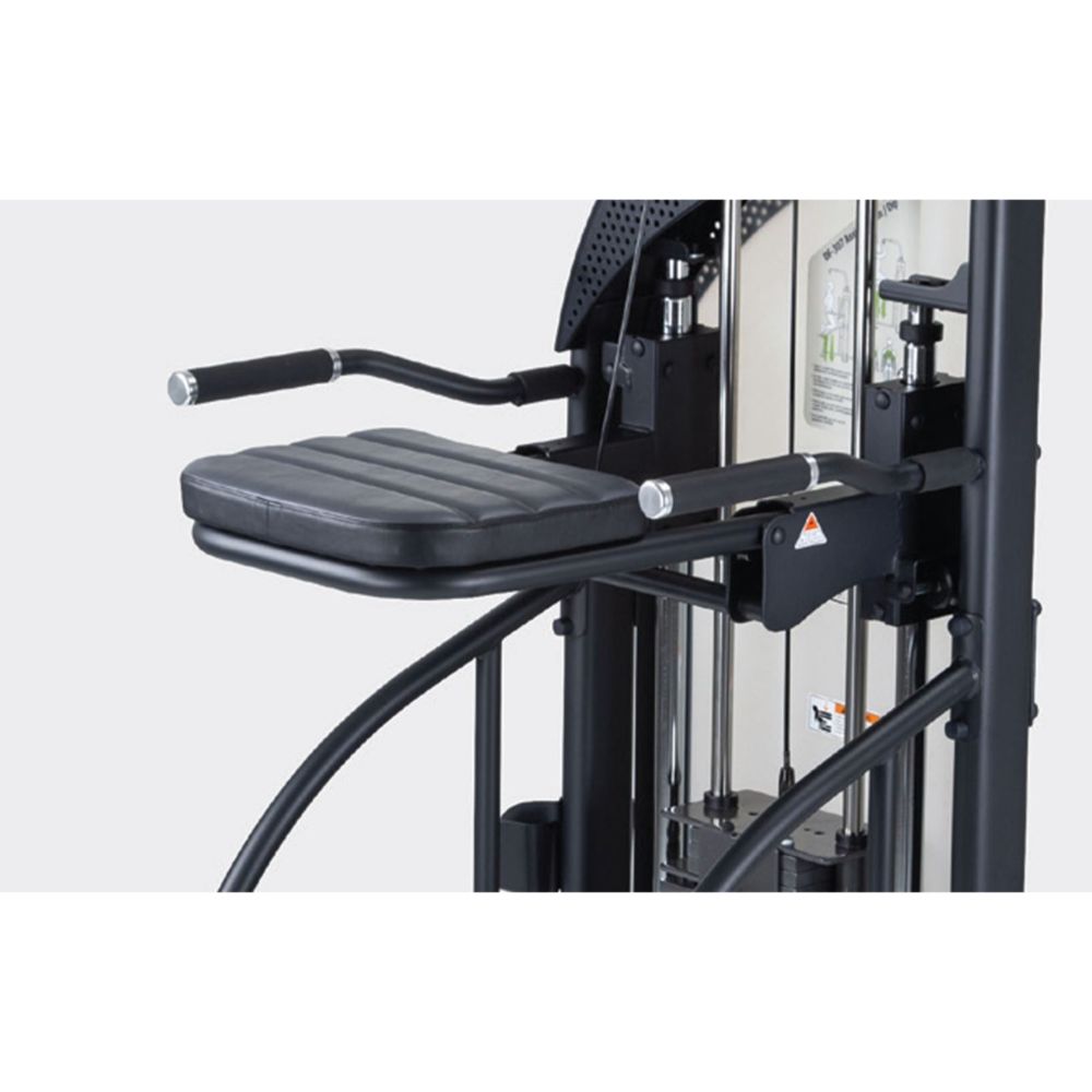 SportsArt DF307 Assisted Chin/Dip Frame