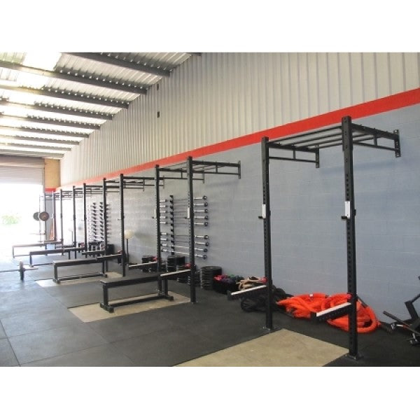 Morgan 4 In 1 Cross Functional Wall Assault Rack