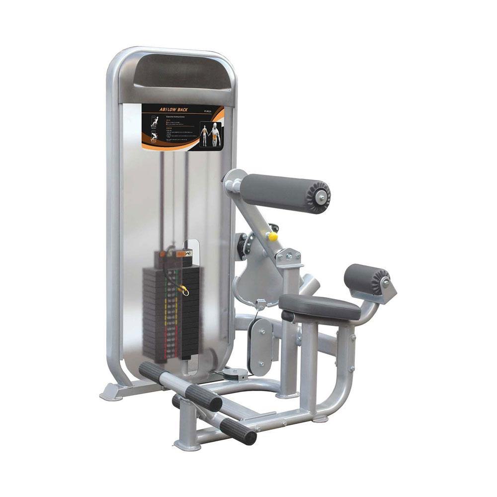 Healthstream Studio Dual Pin-Loaded Abdominal and Lower Back PL9024